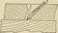 Picture 398 of 443 from Woodworking for beginners; a manual for amateurs (1900), leaf 467