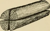 An illustration from Woodworking for beginners; a manual for amateurs (1900)
