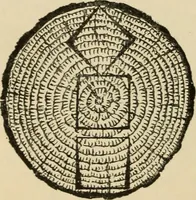Picture 13 of 443 from Woodworking for beginners; a manual for amateurs (1900), leaf 47