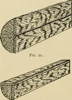 Picture 18 of 443 from Woodworking for beginners; a manual for amateurs (1900), leaf 49