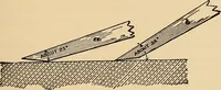 Picture 419 of 443 from Woodworking for beginners; a manual for amateurs (1900), leaf 498