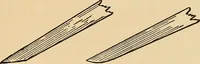 Picture 420 of 443 from Woodworking for beginners; a manual for amateurs (1900), leaf 498