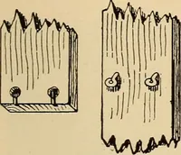 Picture 422 of 443 from Woodworking for beginners; a manual for amateurs (1900), leaf 504
