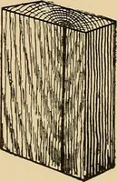 Picture 439 of 443 from Woodworking for beginners; a manual for amateurs (1900), leaf 522