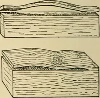 Picture 441 of 443 from Woodworking for beginners; a manual for amateurs (1900), leaf 543