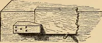 Picture 44 of 443 from Woodworking for beginners; a manual for amateurs (1900), leaf 84