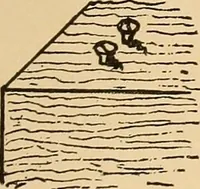 Picture 50 of 443 from Woodworking for beginners; a manual for amateurs (1900), leaf 86