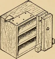Picture 57 of 443 from Woodworking for beginners; a manual for amateurs (1900), leaf 90