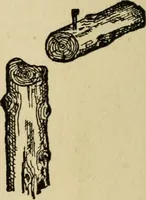 An illustration from Woodwork joints; how they are set out, how made and where used; with four hundred and thirty illustrations and a complete index of eleven hundred references (1921)