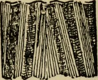 An illustration from Woodwork joints; how they are set out, how made and where used; with four hundred and thirty illustrations and a complete index of eleven hundred references (1921)