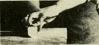 Picture 37 of 120 from Woodwork and mechanical drawing (1914), leaf 34
