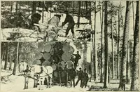 An illustration from Woodwork and mechanical drawing (1914)