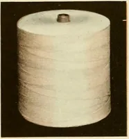 An illustration from Wool and cotton in all forms from yarn to fabric (1921)
