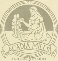 An illustration from Wool and cotton in all forms from yarn to fabric (1921)
