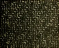 An illustration from Woolen and worsted fabrics glossary; containing instructions for the manufacture of every known grade and variety of woolen and worsted fabrics .. (1914)
