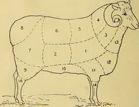 An illustration from Woolen and worsted fabrics glossary; containing instructions for the manufacture of every known grade and variety of woolen and worsted fabrics .. (1914)