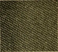An illustration from Woolen and worsted fabrics glossary; containing instructions for the manufacture of every known grade and variety of woolen and worsted fabrics .. (1914)