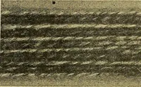 An illustration from Woolen and worsted fabrics glossary; containing instructions for the manufacture of every known grade and variety of woolen and worsted fabrics .. (1914)