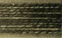 An illustration from Woolen and worsted fabrics glossary; containing instructions for the manufacture of every known grade and variety of woolen and worsted fabrics .. (1914)