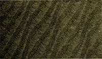 An illustration from Woolen and worsted fabrics glossary; containing instructions for the manufacture of every known grade and variety of woolen and worsted fabrics .. (1914)