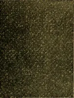 An illustration from Woolen and worsted fabrics glossary; containing instructions for the manufacture of every known grade and variety of woolen and worsted fabrics .. (1914)