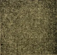 An illustration from Woolen and worsted fabrics glossary; containing instructions for the manufacture of every known grade and variety of woolen and worsted fabrics .. (1914)