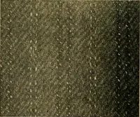 An illustration from Woolen and worsted fabrics glossary; containing instructions for the manufacture of every known grade and variety of woolen and worsted fabrics .. (1914)