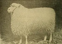 An illustration from Woolen and worsted fabrics glossary; containing instructions for the manufacture of every known grade and variety of woolen and worsted fabrics .. (1914)