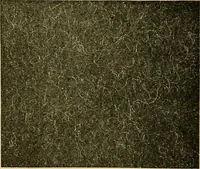 An illustration from Woolen and worsted fabrics glossary; containing instructions for the manufacture of every known grade and variety of woolen and worsted fabrics .. (1914)