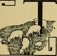 An illustration from Woolen and worsted finishing; a practical manual of instruction in the methods and machinery used in finishing woolen and worsted goods in general, and the processes involved in the special treatment of all types of standard fabrics (1909)