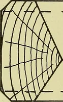 An illustration from Woolen and worsted finishing; a practical manual of instruction in the methods and machinery used in finishing woolen and worsted goods in general, and the processes involved in the special treatment of all types of standard fabrics (1909)