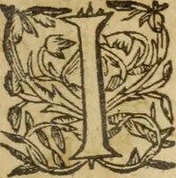 An illustration from A woorke concerning the trewnesse of the Christian religion (1587)
