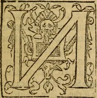 An illustration from A woorke concerning the trewnesse of the Christian religion (1587)