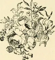 Picture 41 of 52 from Workers in the vineyard. A review of the progress of spiritualism, biographical sketches, lectures, essays and poems. .. (1896), leaf 269