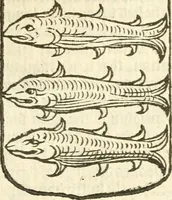 An illustration from Workes of armorie : deuyded into three bookes, entituled, the Concordes of armorie, the Armorie of honor, and of Coates and creastes (1572)