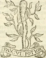 An illustration from Workes of armorie : deuyded into three bookes, entituled, the Concordes of armorie, the Armorie of honor, and of Coates and creastes (1572)
