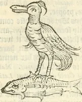An illustration from Workes of armorie : deuyded into three bookes, entituled, the Concordes of armorie, the Armorie of honor, and of Coates and creastes (1572)