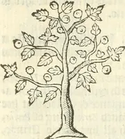 An illustration from Workes of armorie : deuyded into three bookes, entituled, the Concordes of armorie, the Armorie of honor, and of Coates and creastes (1572)