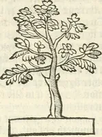 An illustration from Workes of armorie : deuyded into three bookes, entituled, the Concordes of armorie, the Armorie of honor, and of Coates and creastes (1572)