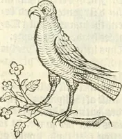 An illustration from Workes of armorie : deuyded into three bookes, entituled, the Concordes of armorie, the Armorie of honor, and of Coates and creastes (1572)