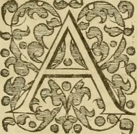 An illustration from The workes of John Boys (1629)
