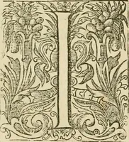 An illustration from The workes of John Boys (1629)