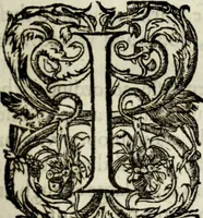 An illustration from The workes of the most high and mightie prince, Iames, by the grace of God, king of Great Britaine, France and Ireland, defender of the faith, &c. (1616)