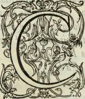 An illustration from The workes of the most high and mightie prince, Iames, by the grace of God, king of Great Britaine, France and Ireland, defender of the faith, &c. (1616)