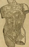 An illustration from The workes of that famous chirurgion Ambrose Parey : (1649)