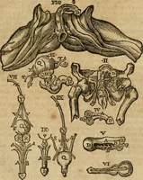 Picture 27 of 336 from The workes of that famous chirurgion Ambrose Parey : (1649), leaf 121