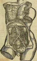 Picture 29 of 336 from The workes of that famous chirurgion Ambrose Parey : (1649), leaf 126