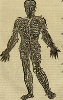 Picture 32 of 336 from The workes of that famous chirurgion Ambrose Parey : (1649), leaf 141