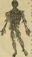 Picture 33 of 336 from The workes of that famous chirurgion Ambrose Parey : (1649), leaf 145