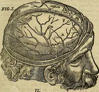 An illustration from The workes of that famous chirurgion Ambrose Parey : (1649)